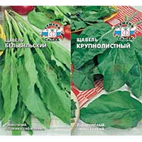 Щавель: простой уход и огромная польза Щавель: простой уход и огромная польза