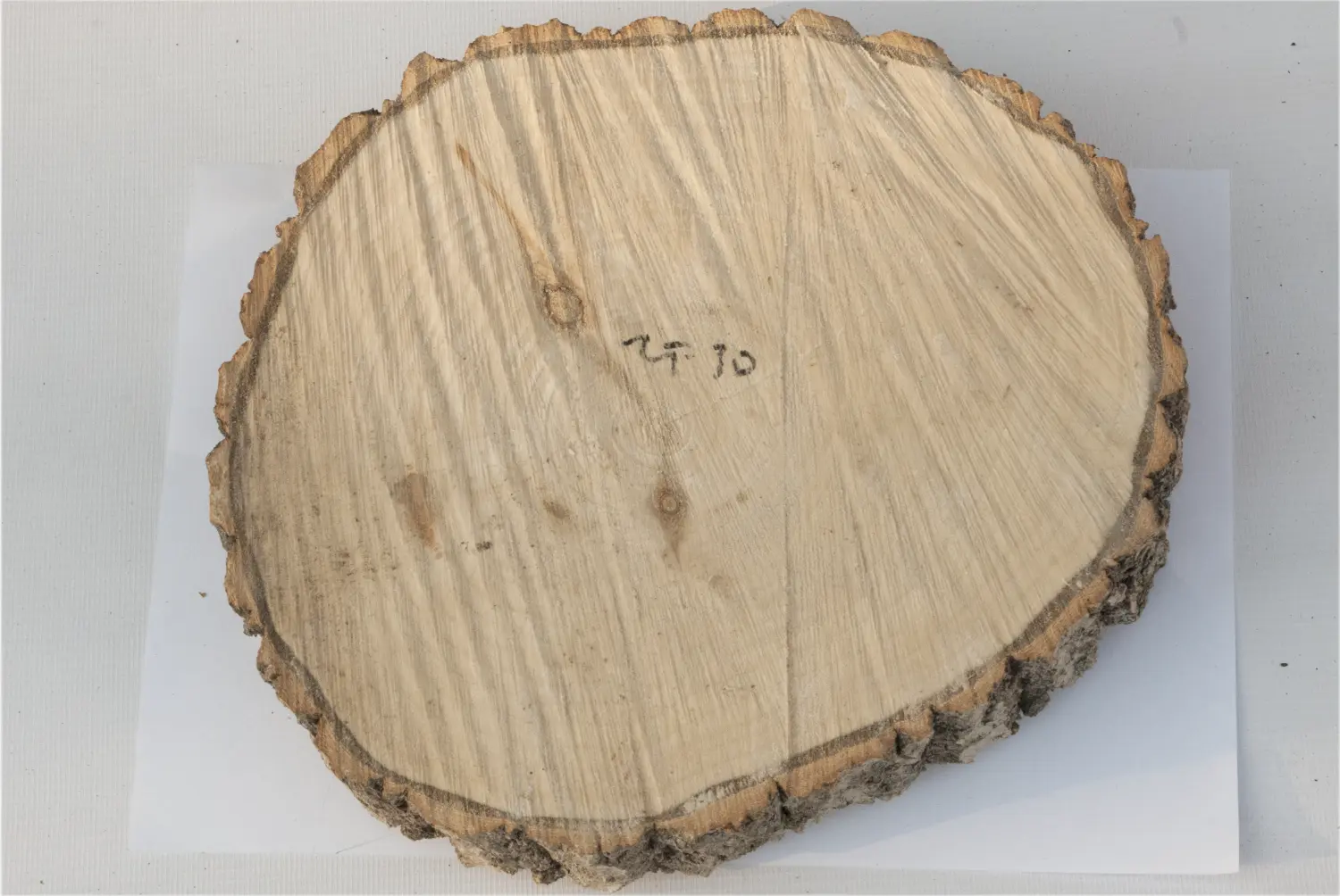 Спил осина без шлифовки СОс, (Ø 25-30 см, h 3см), шт
