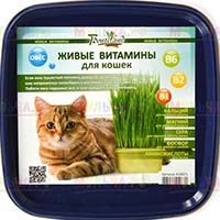 Живые витамины для домашних любимцев Живые витамины для домашних любимцев
