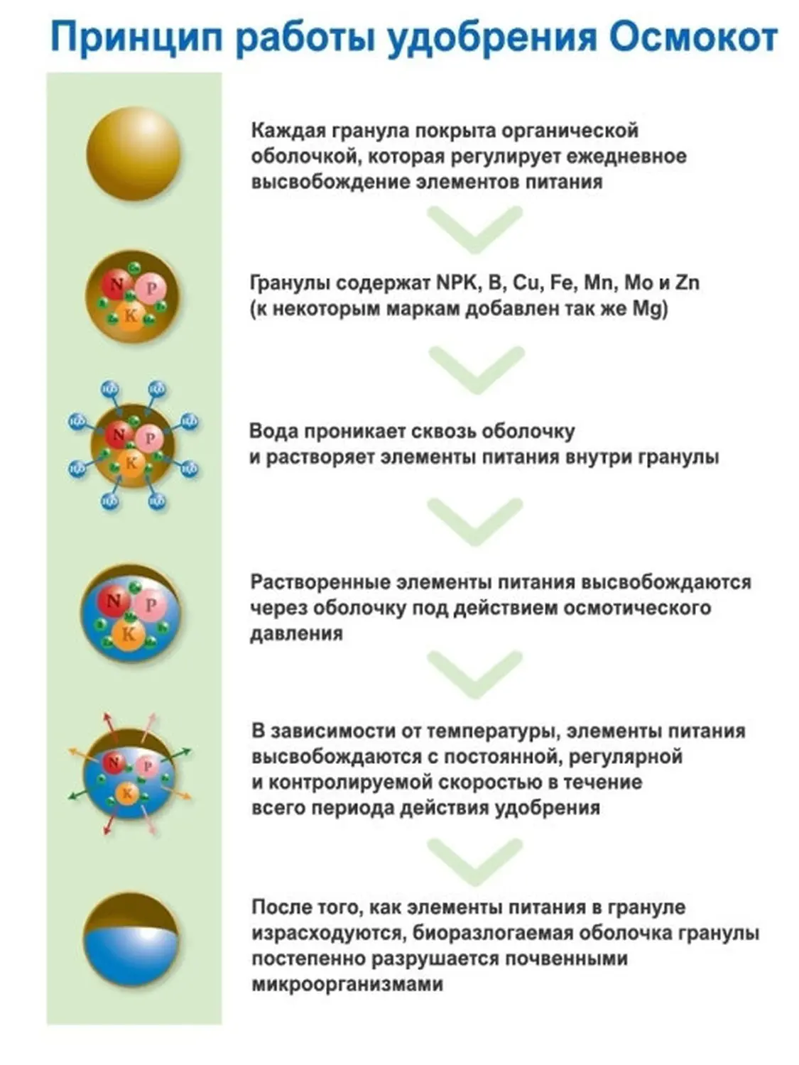 Осмокот Про (Osmocote Pro) 19-9-10+2MgO+ТЕ 5-6 месяца, 1 кг