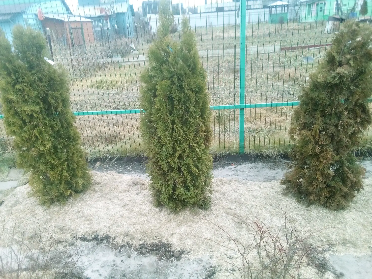 Костра льняная, 60 л мешок