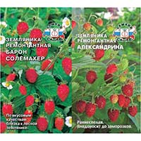 А вы уже купили семена земляники? А вы уже купили семена земляники?