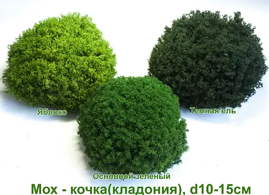 Мох - кочка 'кладония', Яблоко, Ø 10-15 см, шт