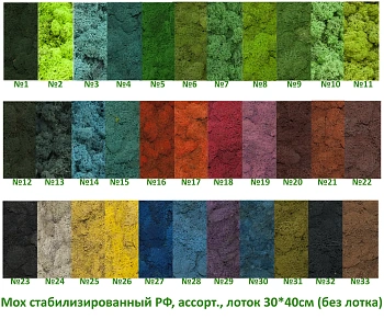 Мох стабилизированный №9 зеленый лесной, 30*40 см, пак