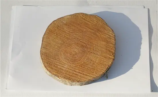Спил ольха шлифовка СОлШ1 (Ø 15-20см, h 2см), шт