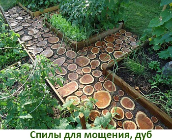 Спилы поквадратно осина для мощения (Ø 10-35см, h 8см), м.кв