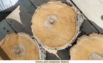 Спилы поквадратно осина для мощения (Ø 10-35см, h 8см), м.кв
