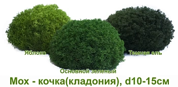 Мох - кочка 'кладония', Яблоко, Ø 10-15 см, шт