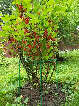 Кустодержатель квадратный композитный, 55 * 55 * h 75 см, уп