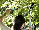 Plantic Сучкорез плоскостной телескопический PowerCut L71 light, арт 25271-01, шт