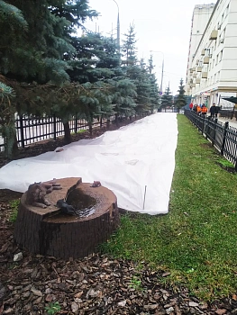 Агротекс Белый 60, 3,2*10 м, уп