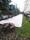 Агротекс Белый 60, 3,2*200 м, рул