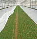 Агротекс Белый 30, 3,2*10 м, уп