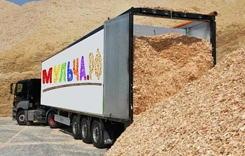 Щепа натуральная, лиственных пород, Щеповоз