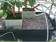 Пеностекло Субстрат Growplant, фр.  0,8-5 мм, зеленый, 50 л 