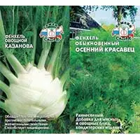 Фенхель, он же аптечный укроп