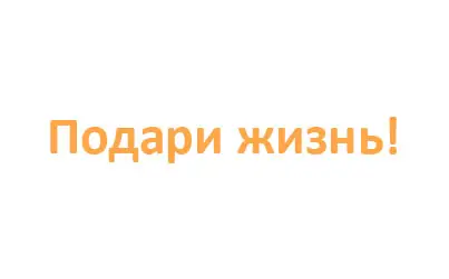 Благотворительность с фондом Дины Корзун и Чулпан Хаматовой «Подари Жизнь»
