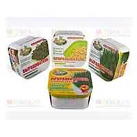 Пророщенные зерна - натуральный источник витаминов, микроэлементов и минеральных веществ